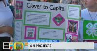 4-H youth showcase quilts, renewable energy projects at the Minnesota State Fair
