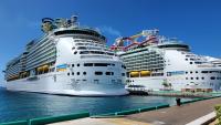 38% of Royal Caribbean Cruise Ships Have Earned a Perfect 100 Health Score in 2026