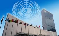Rights activists urge PM Shah to seek international support and compensation at UNGA