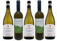 Wine of the Week: Pecorino x2