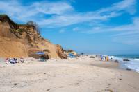 Shark Sighting Closes Chilmark Beach to Swimming
