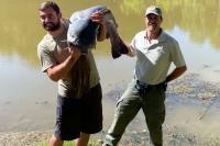 West Virginia brought back a giant native fish that now keeps breaking records
