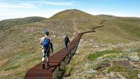 How ecotourism is making sure the grass is always greener at national parks