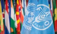 FAO: Global Food Prices Surge to Highest Since 2022 as Weather, War Tighten Supply