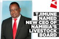 Livestock and Livestock Products Board of Namibia appoints Vehaka Tjimune as new CEO