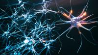 FDA Approves Ionis Pharma Drug, the First for Ultra-Rare Alexander Disease