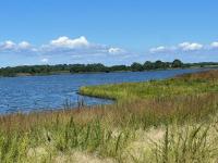 DNR opening 100+ acres of land to lease for regenerative farming