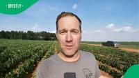 "Try US citizens": US farmer struggles to recruit H-2A visa workers despite R25,000 weekly salary