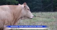 New executive orders aim to help U.S. ranchers