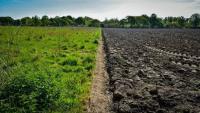 Maryland Opens First Regenerative Farm Lease