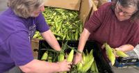 How the Food Bank of Wyoming supports local farms to fight hunger