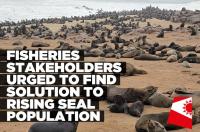 Fisheries sector urged to find solution to growing seal population