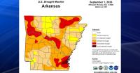 Arkansas Delta approaches exceptional levels of drought, hurting livestock production and bringing burn bans