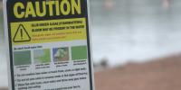 Great Lakes scientists call for action as blue-green algae problem grows in Lake Superior