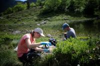 Scientists Added Sulfuric Acid To An Ontario Lake For 17 Years, Its Ecosystem Still Struggles To Recover Decades Later