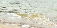 Eau Claire City-County Health Department issues countywide beach advisory for harmful algae