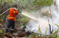 Wildfires in Indonesia spark alert