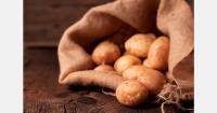 Japan reviews ban on U.S. fresh potato imports