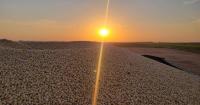 Yield concerns, improving prices, currency risk, and Churchill's promise | RealAg Radio Sept 4, 2026