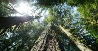 House Republicans investigate Oregon environmental groups' legal fees