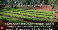 In 2006, Green Belt Movement began restoring Kenya’s Aberdares after years of human pressure. 18 years later, 3.8 million trees had been planted across 2,000 hectares