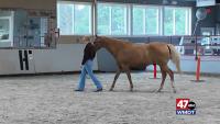 Southern Delaware Therapeutic Riding Center
