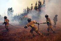 Global warming extends wildfire risk to cold regions of Europe