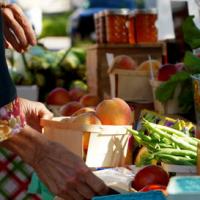 Oberlin Farmers Market Unites Small Businesses and Customers