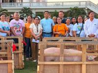 CEVIPPCO extends aid to Cebu hog farmers