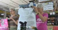 Xcel Energy's Day of Service benefits nearly 40 worthy organizations