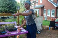 Planting for the Planet connects students to campus sustainability efforts