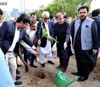 Governor inaugurates Miyawaki Forest at Governor House