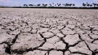 Farmers demand Dindigul district be declared drought-hit