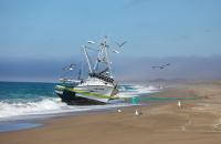 Grounded fishing boat on Point Reyes beach to be destroyed, once rotting squid is offloaded