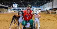 A symbol of strength and nobility: Arabian salukis show off their skills at Adihex