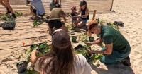 Global climate initiative encourages youth-led projects in Hawaiʻi