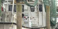 Louisiana shrimpers call on Pres. Trump to limit imported shrimp