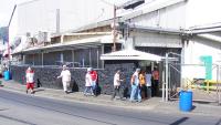 Senate bill proposed for a Critical Guest Worker Amnesty Program