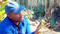 Africa’s climate crisis: Building resilience