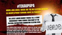 #tekaupapa: Māori Jobs Crisis: Where Are the Big Election Answers as Unemployment Remains Above 10 Percent?