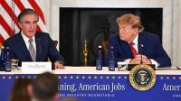 Vietnam Veterans Ask Court To Block Trump's Arch Construction