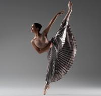 A grand jeté from Melbourne to Amsterdam for 14-year-old Eve Vlahodimos