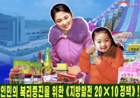North Korea’s Recent Economic Recovery and the Sustainability of the Regional Development Policy