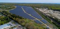 Trees vs. Solar Panels: Getting the Carbon Math Right