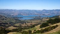 Wainui water incident: Person pulled from water on Banks Peninsula