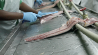 Minister Migadde asks NARO to guide fish farmers