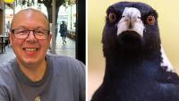 Meet the British ex-pat whose frightening magpie encounter sparked a one-man mission