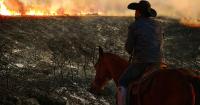 Entrepreneur helps in wake of Ross wildfire