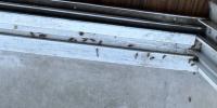 Pest control company battling roach infestation near Wetlands Park