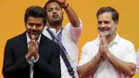 Tamil Nadu minister says Rahul Gandhi to be prime minister in 2029 amid TVK's 'Vijay as PM' pitch